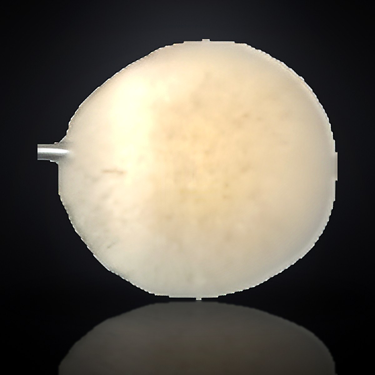 TROTON aplikator boje